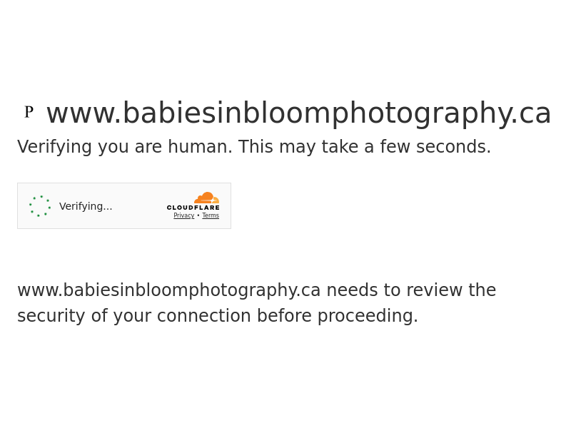 Babies In Bloom Photography website screenshot