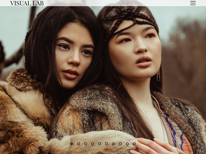 Visual Lab website screenshot