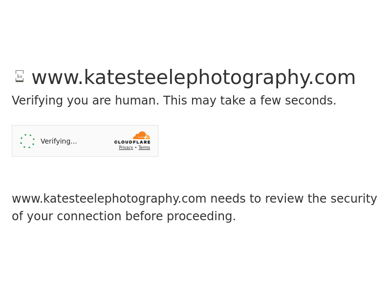 Kate Steele Photography - Ottawa Documentary Family Photographer website screenshot
