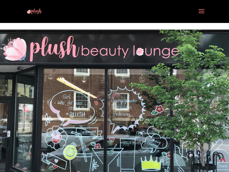 Plush Beauty Lounge website screenshot