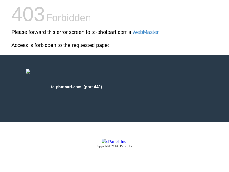 Tatiana Che Photography website screenshot