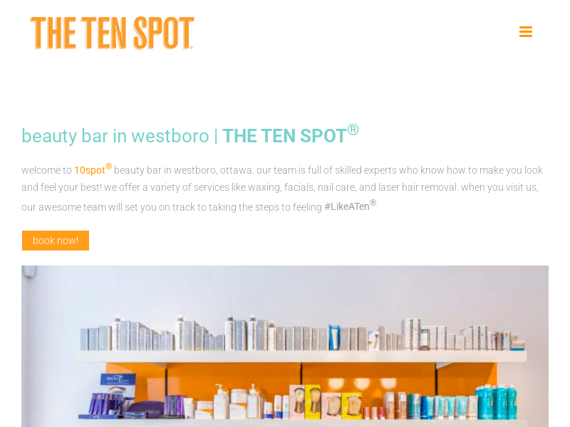 THE TEN SPOT website screenshot