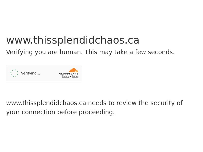 THIS SPLENDID CHAOS | Ottawa Photographer & Memory Quilter website screenshot